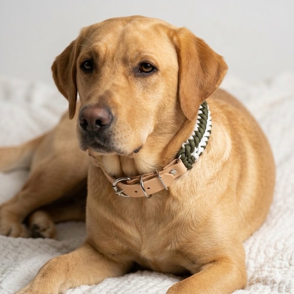 Handmade Leather and Paracord Dog Collar
